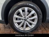 Audi Q3 bei Sportwagen.expert - Abbildung (11 / 15)