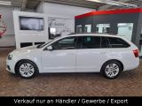Skoda Octavia bei Sportwagen.expert - Abbildung (2 / 15)