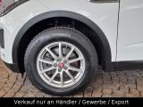 Jaguar E-Pace bei Sportwagen.expert - Abbildung (11 / 15)