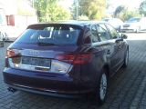 Audi A3 bei Sportwagen.expert - Abbildung (8 / 15)