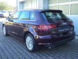 Audi A3 bei Sportwagen.expert - Abbildung (6 / 15)