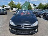 Peugeot 206 bei Sportwagen.expert - Abbildung (4 / 14)