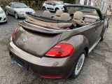 VW New Beetle bei Sportwagen.expert - Abbildung (5 / 15)