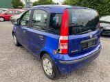 Fiat Panda bei Sportwagen.expert - Abbildung (8 / 15)