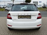 Skoda Fabia bei Sportwagen.expert - Abbildung (4 / 15) Skoda Fabia bei Sportwagen.expert - Abbildung (4 / 15)