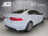 Jaguar XE bei Sportwagen.expert - Abbildung (7 / 15)