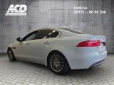 Jaguar XE bei Sportwagen.expert - Abbildung (6 / 15)