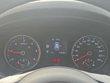 Kia Sportage bei Sportwagen.expert - Abbildung (15 / 15)