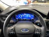 Ford Kuga bei Sportwagen.expert - Abbildung (11 / 15)