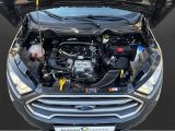 Ford EcoSport bei Sportwagen.expert - Abbildung (5 / 12) Ford EcoSport bei Sportwagen.expert - Abbildung (5 / 12)