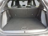 Peugeot 2008 bei Sportwagen.expert - Abbildung (8 / 14)