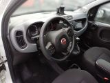 Fiat Panda bei Sportwagen.expert - Abbildung (12 / 12)