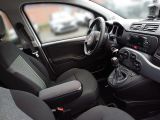 Fiat Panda bei Sportwagen.expert - Abbildung (10 / 12)