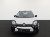 Fiat Panda bei Sportwagen.expert - Abbildung (2 / 12)