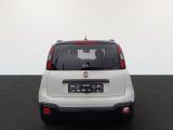 Fiat Panda bei Sportwagen.expert - Abbildung (3 / 12)