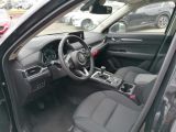 Mazda CX 5 bei Sportwagen.expert - Abbildung (8 / 13)