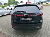 Mazda CX 5 bei Sportwagen.expert - Abbildung (3 / 13)