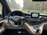 Mercedes-Benz 250 bei Sportwagen.expert - Abbildung (11 / 15)