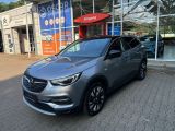 Opel Grandland X bei Sportwagen.expert - Abbildung (2 / 15)