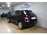 Skoda Fabia bei Sportwagen.expert - Abbildung (6 / 15)