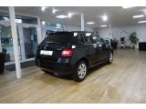 Skoda Fabia bei Sportwagen.expert - Abbildung (4 / 15)