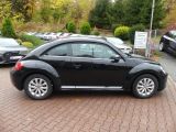 VW Beetle bei Sportwagen.expert - Abbildung (4 / 15) VW Beetle bei Sportwagen.expert - Abbildung (4 / 15)