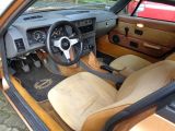 Triumph TR7 bei Sportwagen.expert - Abbildung (6 / 15)