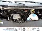 VW T6 bei Sportwagen.expert - Abbildung (4 / 10)
