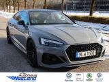 Audi RS 5 bei Sportwagen.expert - Abbildung (2 / 10)