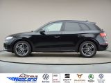 Audi SQ5 bei Sportwagen.expert - Abbildung (2 / 10)