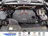 Audi SQ5 bei Sportwagen.expert - Abbildung (4 / 10)