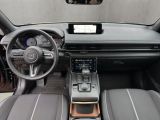 Mazda MX-30 bei Sportwagen.expert - Abbildung (13 / 15)