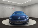 VW Beetle bei Sportwagen.expert - Abbildung (8 / 15)