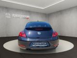 VW Beetle bei Sportwagen.expert - Abbildung (4 / 15)