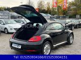 VW Beetle bei Sportwagen.expert - Abbildung (6 / 15) VW Beetle bei Sportwagen.expert - Abbildung (6 / 15)
