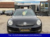 VW Beetle bei Sportwagen.expert - Abbildung (2 / 15) VW Beetle bei Sportwagen.expert - Abbildung (2 / 15)
