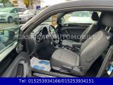 VW Beetle bei Sportwagen.expert - Abbildung (14 / 15) VW Beetle bei Sportwagen.expert - Abbildung (14 / 15)