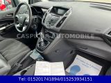 Ford Tourneo bei Sportwagen.expert - Abbildung (13 / 15)