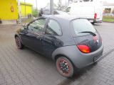 Ford Ka bei Sportwagen.expert - Abbildung (7 / 14)