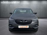 Opel Grandland X bei Sportwagen.expert - Abbildung (2 / 13)