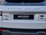Land Rover Range Rover Evoque bei Sportwagen.expert - Abbildung (6 / 11)