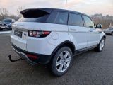 Land Rover Range Rover Evoque bei Sportwagen.expert - Abbildung (5 / 11)