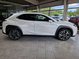 Lexus UX bei Sportwagen.expert - Abbildung (6 / 15)