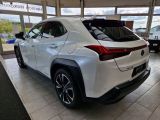 Lexus UX bei Sportwagen.expert - Abbildung (3 / 15)