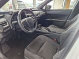 Lexus UX bei Sportwagen.expert - Abbildung (11 / 15)