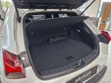 Lexus UX bei Sportwagen.expert - Abbildung (4 / 15)