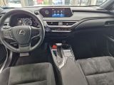 Lexus UX bei Sportwagen.expert - Abbildung (12 / 15)