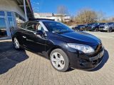 Renault Megane III bei Sportwagen.expert - Abbildung (3 / 14)