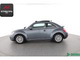 VW Beetle bei Sportwagen.expert - Abbildung (2 / 10)