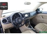 VW Beetle bei Sportwagen.expert - Abbildung (9 / 10)